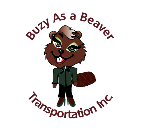 BBT serve the Southside of Chicago and surrounding areas. Our vehicles are wheelchair accessible however; we offer Airport and various other trips.