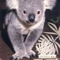 imre_kovimre09's profile picture. 