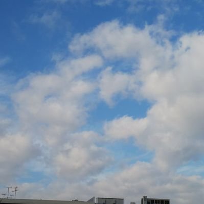 Nah 絵本が増えたので 絵本棚作ったー 手作り 絵本棚 ダンボール 牛乳パック ミニオンズ