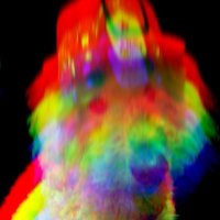 Forrest (@ffleming) 's Twitter Profile