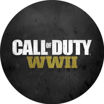 PS4/Call of duty WWII 1,000 Level Everything Unlock/DM For Business