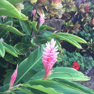 JTBarnes7's profile picture. Follower of Jesus Christ. Wife and mother. Teacher.