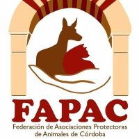 FAPAC (@fapac_cordoba) 's Twitter Profile Photo FAPAC (@fapac_cordoba) 's Twitter Profile Photo