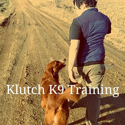 KlutchK9net's profile picture. Reliable Dog Training That Works!