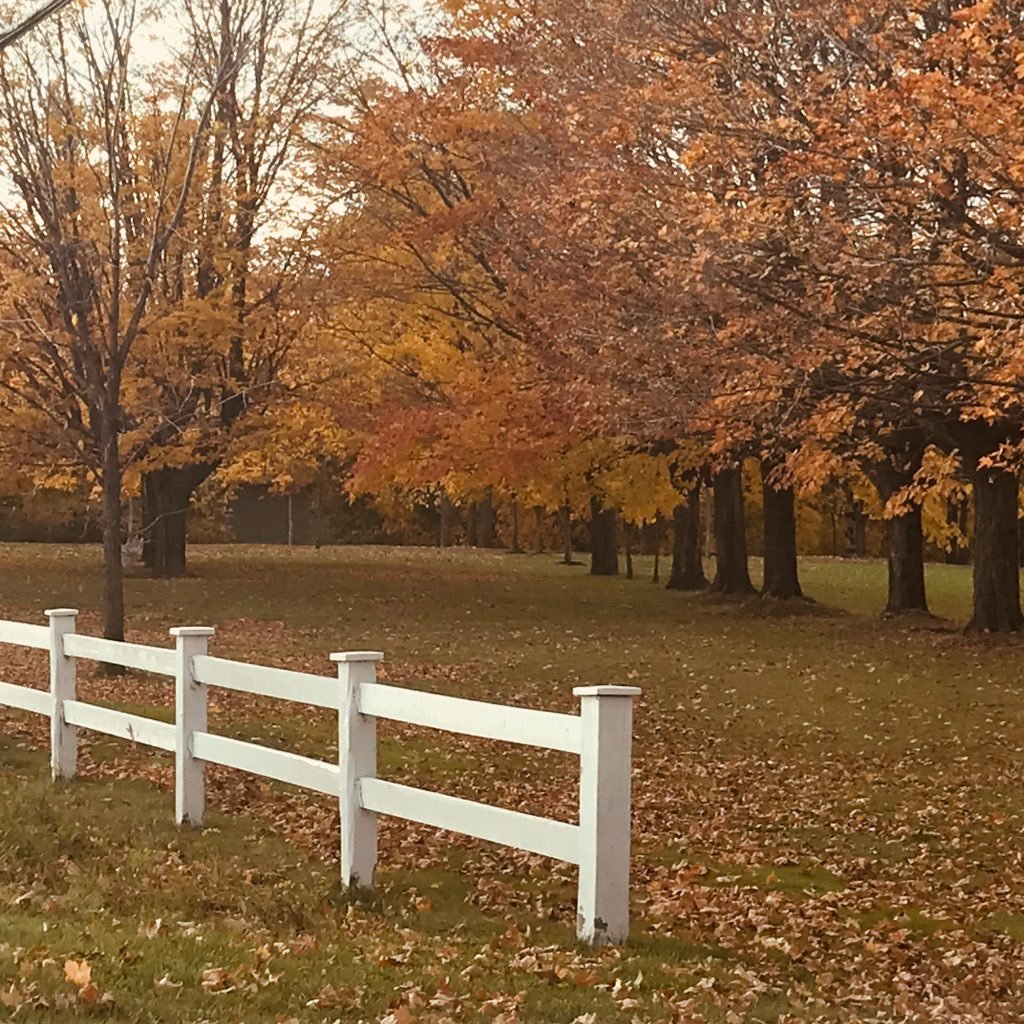 gbs_luc's profile picture. 