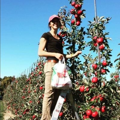 Fruit IPM Coordinator, with the NYS IPM Program,
Making fruit more sustainable 🍎🍒🍐🍏🍓🤓 @cornellagritech @nysipm