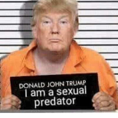 Trump Is A Sexual Predator (@Racejunkie198) / Twitter