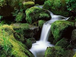 PHYSICIANalotai's profile picture. 