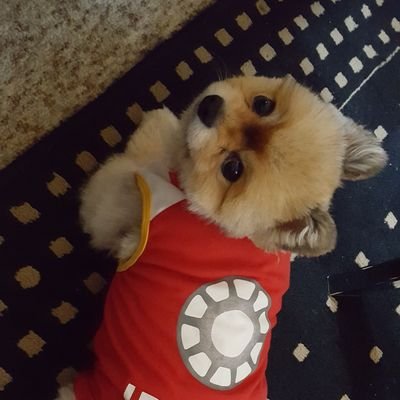 sammyp0045's profile picture. 