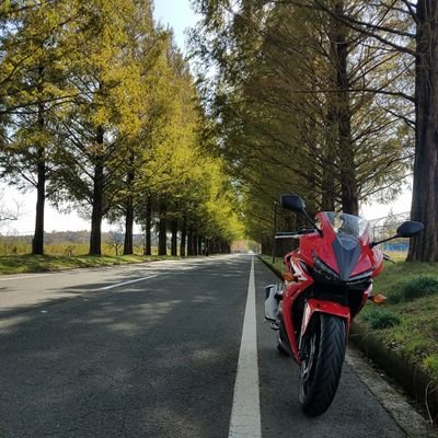anso_rider's profile picture. 平日の永遠の初心者ライダーです。
安全運転してます❗️
一緒にツーリングしてくれる方はDM下さい👍

YouTubeでバイクの楽しさ、ツーリングスポット、美味しいグルメ、デザート、キャンプの紹介動画上げてますのでよかった見てください🤗
気にって頂けたらチャンネル登録もお願いします。

気軽にフォローしてください👍