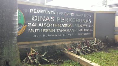 bumidatar21's profile picture. Mengintai, membantai maling uang Negara dgn segala cara# aku bkn kulture Papua.aku lahir dan besar di Papua,sjak 3 thn lalu, aku tinggal di bdg krn tugas khusus