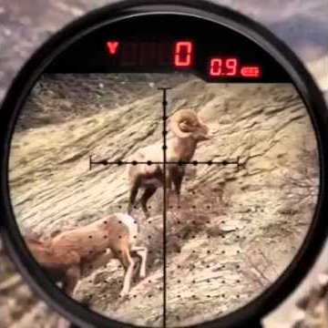 saaydalnsbah's profile picture. محلل فني