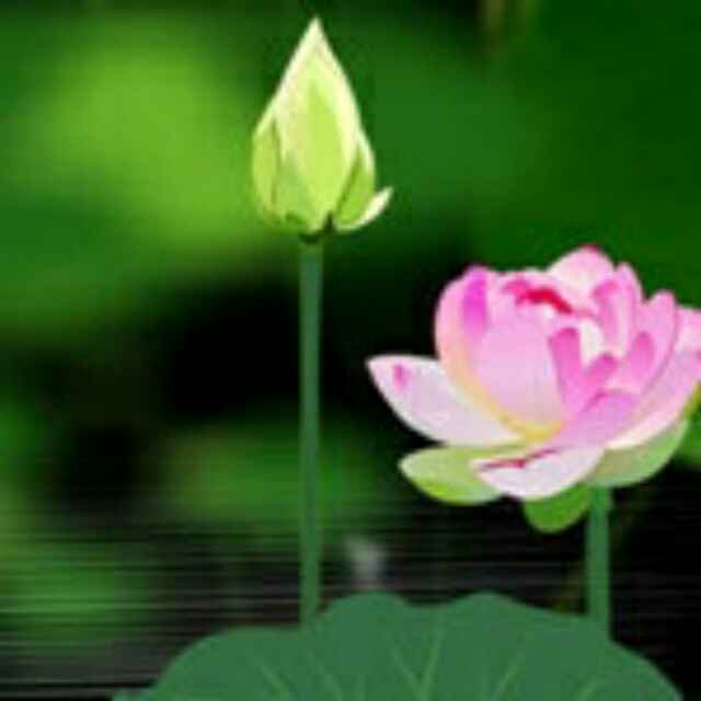 xdwtsq's profile picture. 