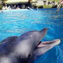 Stephen Craddock - @Astropaq - Twitter