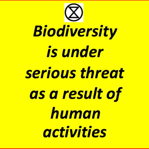 The earth is now experiencing the 6th major mass extinction of species. This time caused by us - humanity.  Maybe, just maybe, we can reduce the damage.