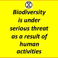 Biodiversityloss(@BiodiversitySoS) 's Twitter Profile Photo