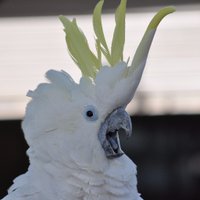 東京動物専門学校【公式】 (@tokyowildlife) 's Twitter Profile Photo