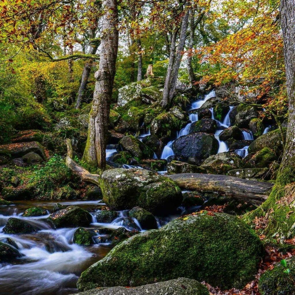 Voted the most beautiful place in Devon, Becky Falls offers a fantastic day out for the whole family!