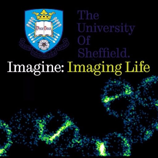 Imagine: Imaging Life Profile