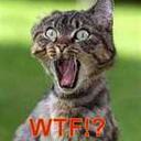 Kelsey Fleming - @kkfleming4 - Twitter