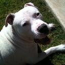 Heather Parrish - @LUVnOU - Twitter