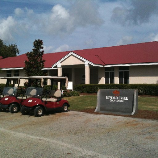 Internationally-acclaimed architect Ron Garl designed Buffalo Creek to  challenge better golfers, yet provide a fun experience for players of  all skill levels.