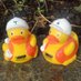 Teddy & Rocy (@pothole_ducks) Twitter profile photo Teddy & Rocy (@pothole_ducks) Twitter profile photo