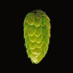 Te ofrecemos Insumos y Equipos Necesarios Para Elaborar tus Mejores Cervezas Artesanales... aqcsupply@gmail.com MD; 0424-6990617, IG@maracaibobeer