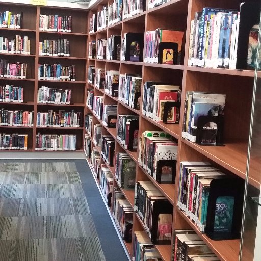 Bibliotechnicienne Jean-Vanier @cscmonavenir #mabiblio21e