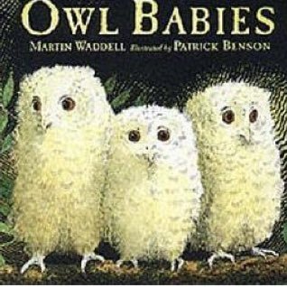 Twitter account for Miss Filer and The Owl Babies of Fairfield Primary School, Widnes