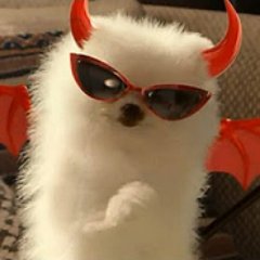 GiGaさんのプロフィール画像