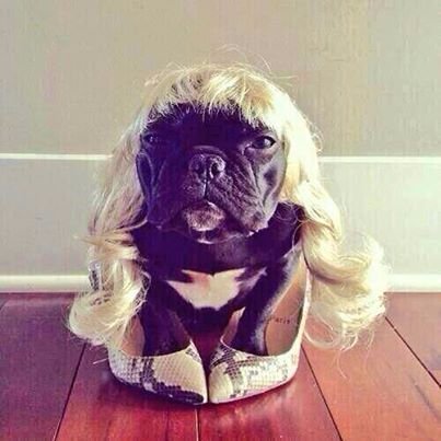 thanksplenty's profile picture. 