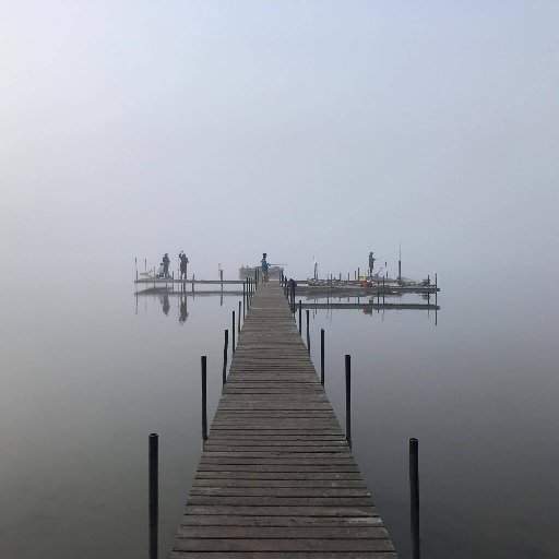 SummerCampSongs's profile picture. All about what we sing around the campfire