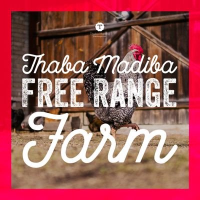 Thaba Madiba Free Range Farm