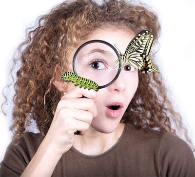 Natuur- en duurzaamheidseducatie van @natuurmilieuov in Overijssel 🌿🐝