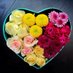 كاتم العبرات (@z538lbtfh2kc0qg) Twitter profile photo كاتم العبرات (@z538lbtfh2kc0qg) Twitter profile photo