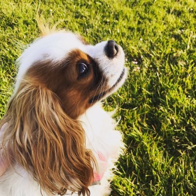 juliaArnold30's profile picture. 