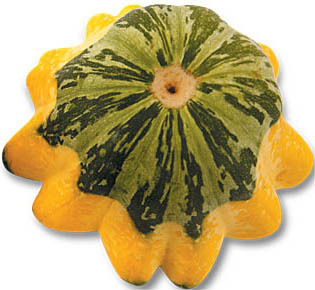 squashd_leader's profile picture. 