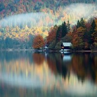 Luc van der Gun (@lucvandergun) 's Twitter Profile