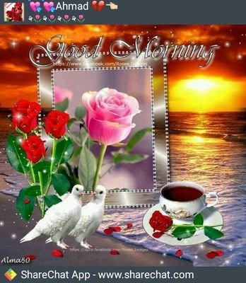 SunilKhunte17's profile picture. 