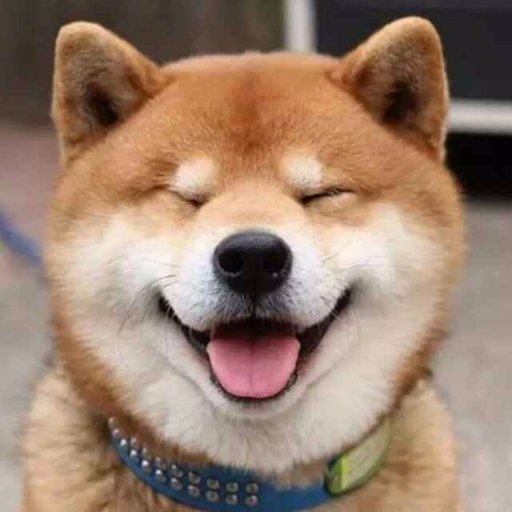 0_Wade_0's profile picture. dog & cat