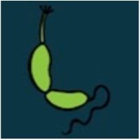 lm_bowers's profile picture. 