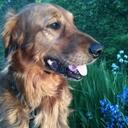 Kate Terrill - @kateterrill - Twitter