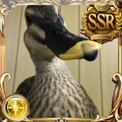 かもねぎさんと共に生きる釣り人。ツイート内容は9割がかも関係で、0.5割が釣り。 鳥クラスタ、あひかも師団、かも大隊所属。