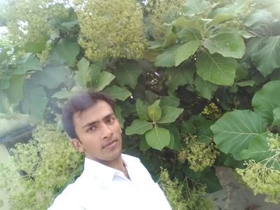 SonuKum20243977's profile picture. 