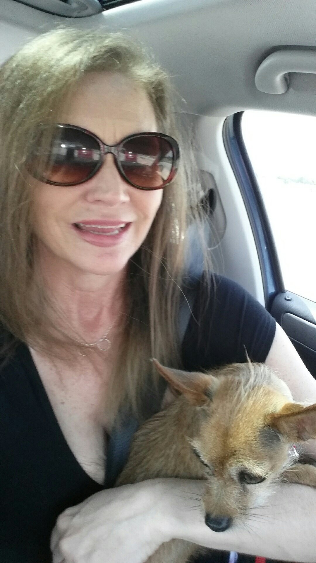 RainBowProject's profile picture. Loyal to the underdog. Underdog.