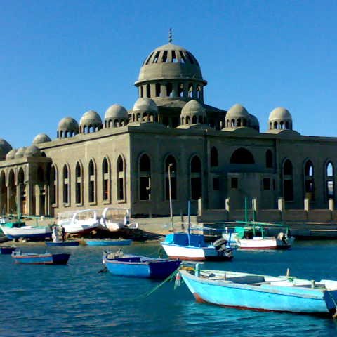 HassanAl3ammary's profile picture. محاسب قانونى