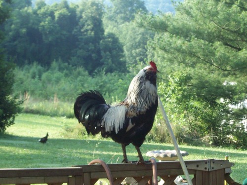 JeannieMacGalt's profile picture. 