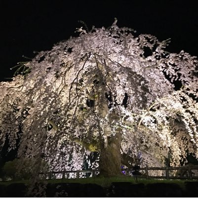 るかしーさんのプロフィール画像