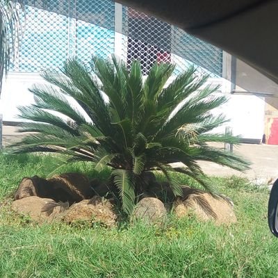 MwasiMwai's profile picture. Unapologetically Me!